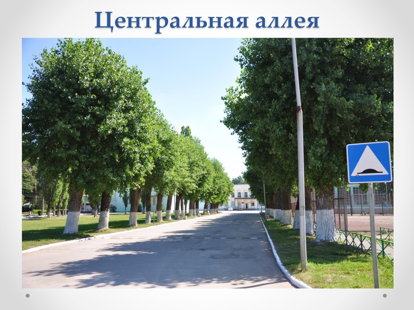 Благоустройство территории 2022